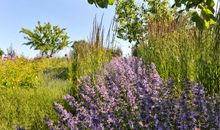 Sitzecke im Garten