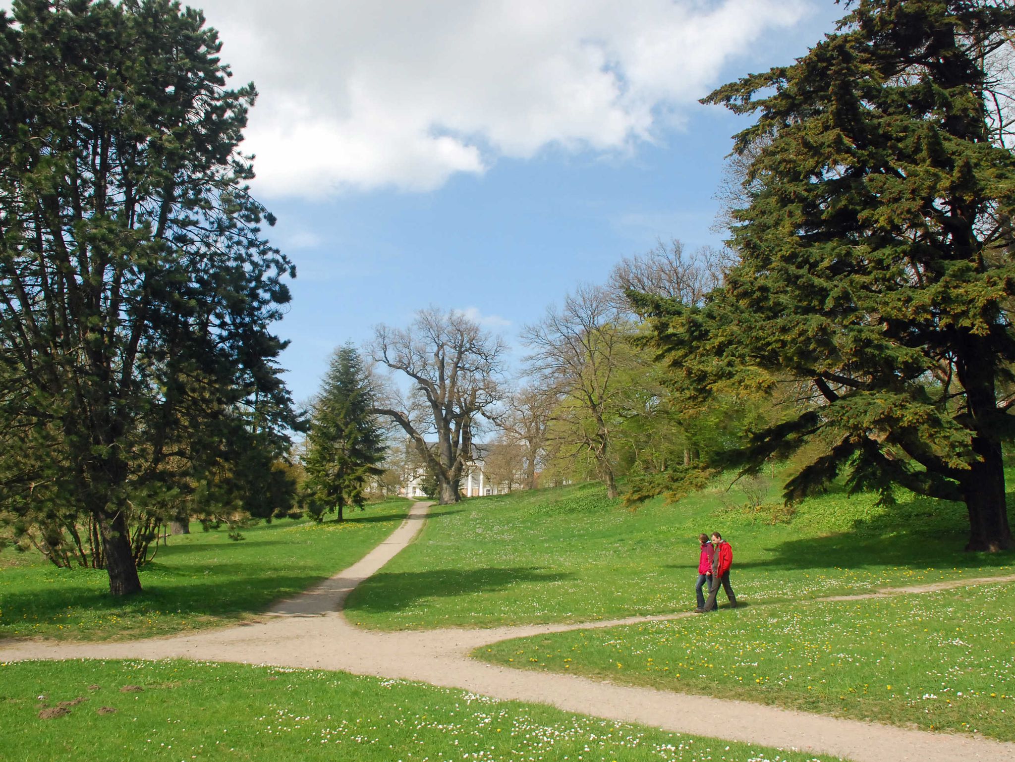 Reetdachhaus Karlshagen - 100 m bis zum Strand