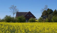 Ferienappartement mit Ostseeblick