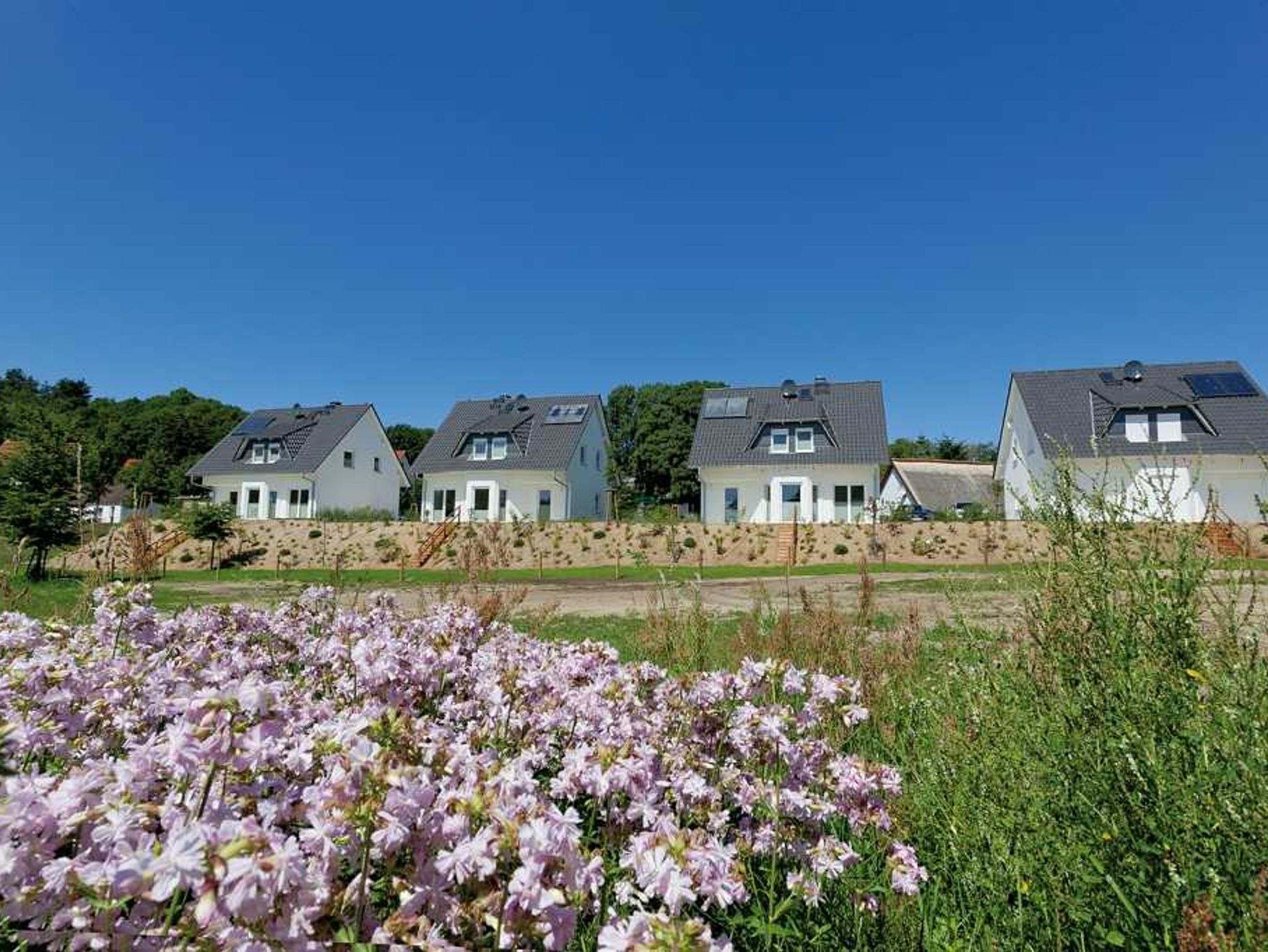 Appartement 1. Ostseeferienhäuser Stettiner Haff