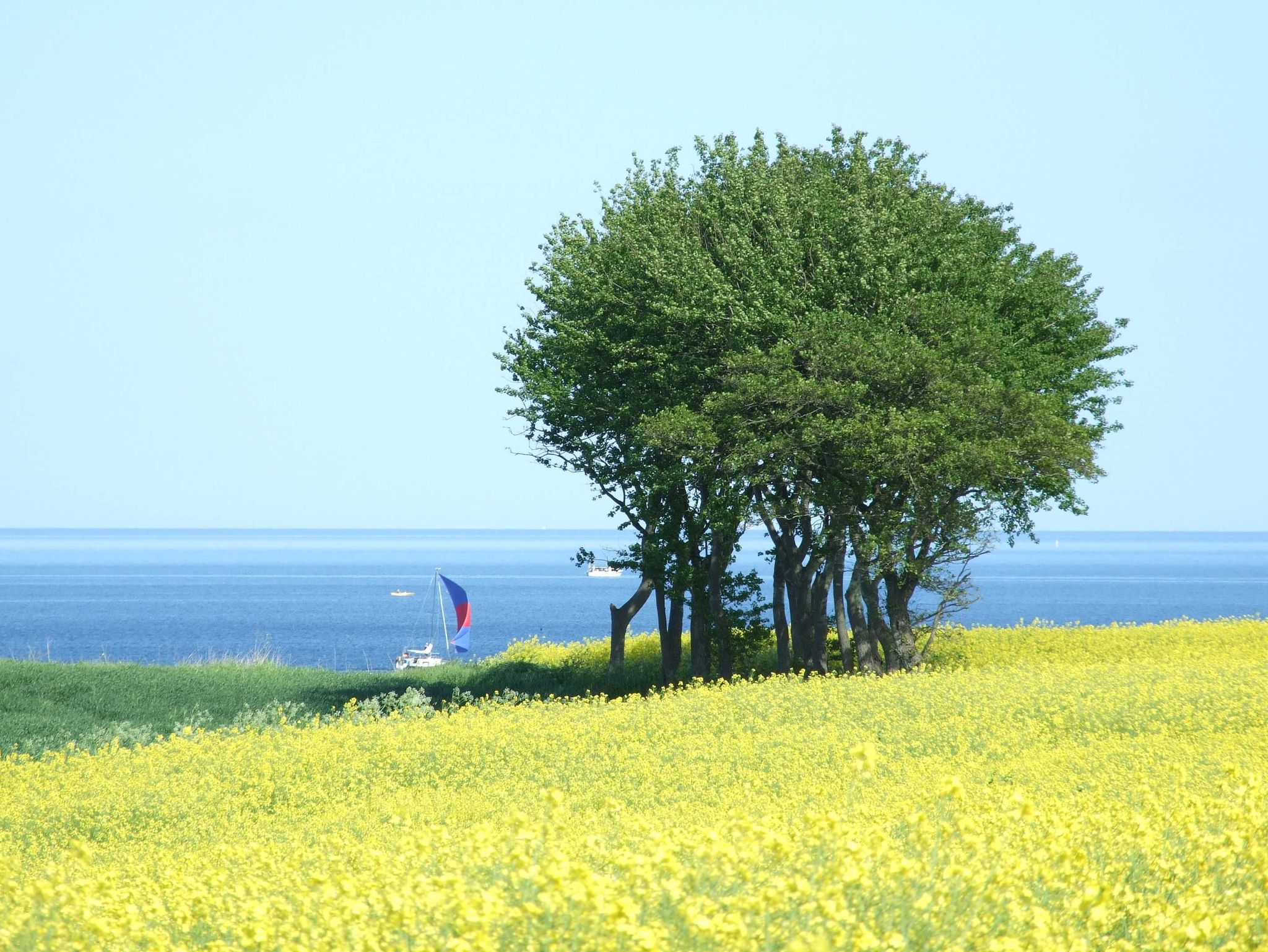 der schöne Strand von Mönkebude