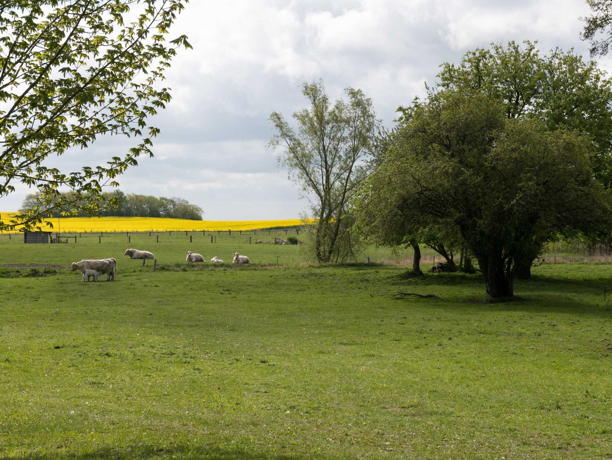 Blick vom Garten auf Haus 1