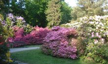 Gutshof Bastorf mit Hofladen und Café im Ort