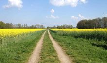 Herrliche Radwege in der Ostseeregion