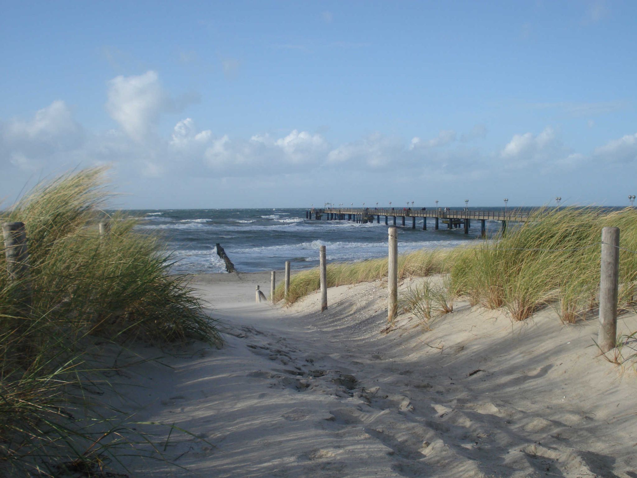 FeWo in direkter Strandlage Villa Freia 13 in Binz, (ID 713)