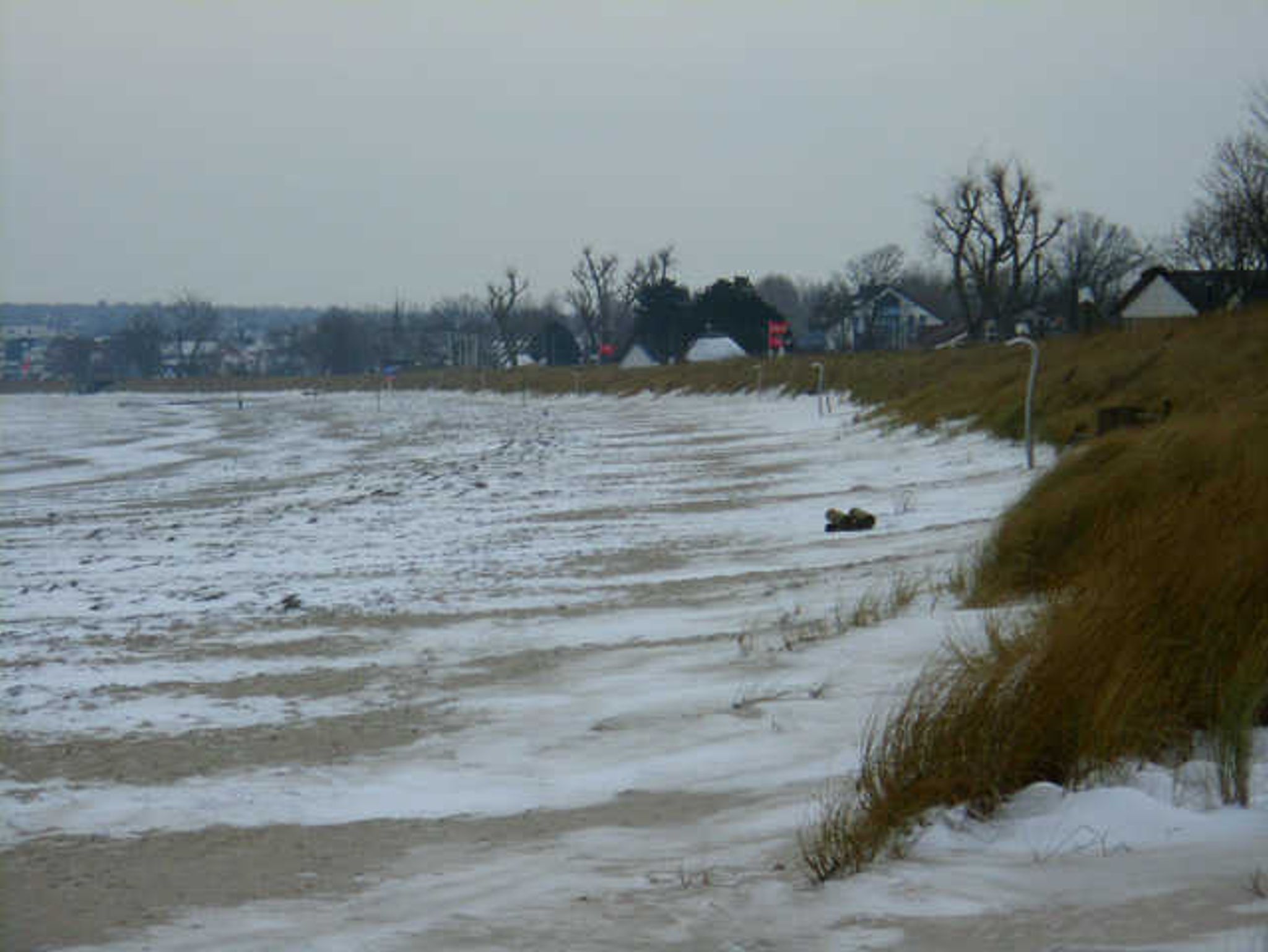 FeWo in direkter Strandlage Villa Freia 13 in Binz, (ID 713)