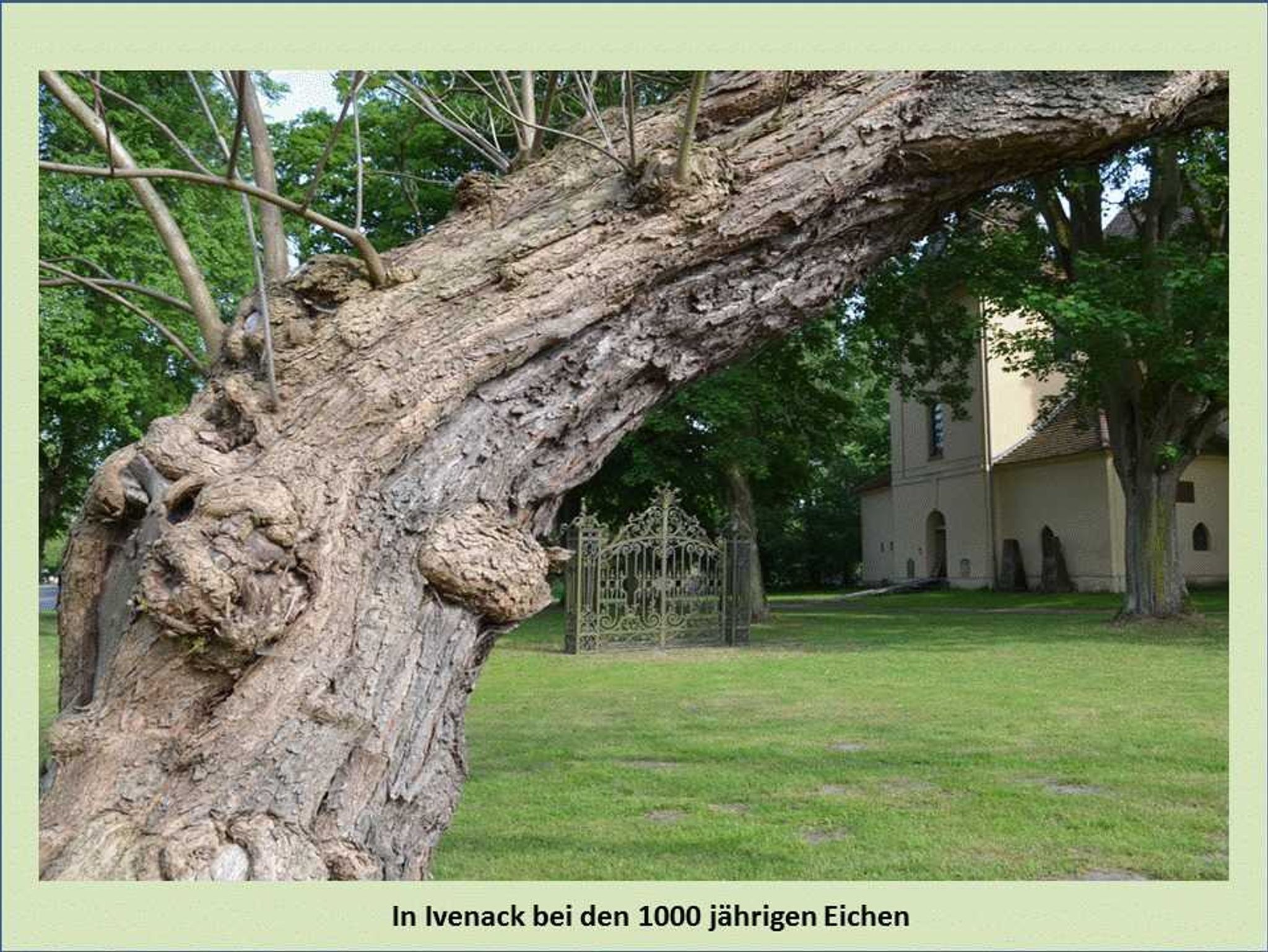 Villa Seeblick - App. 309 - mit herrlichem Meerblick