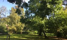 Blick vom Wintergarten Richtung Ostsee