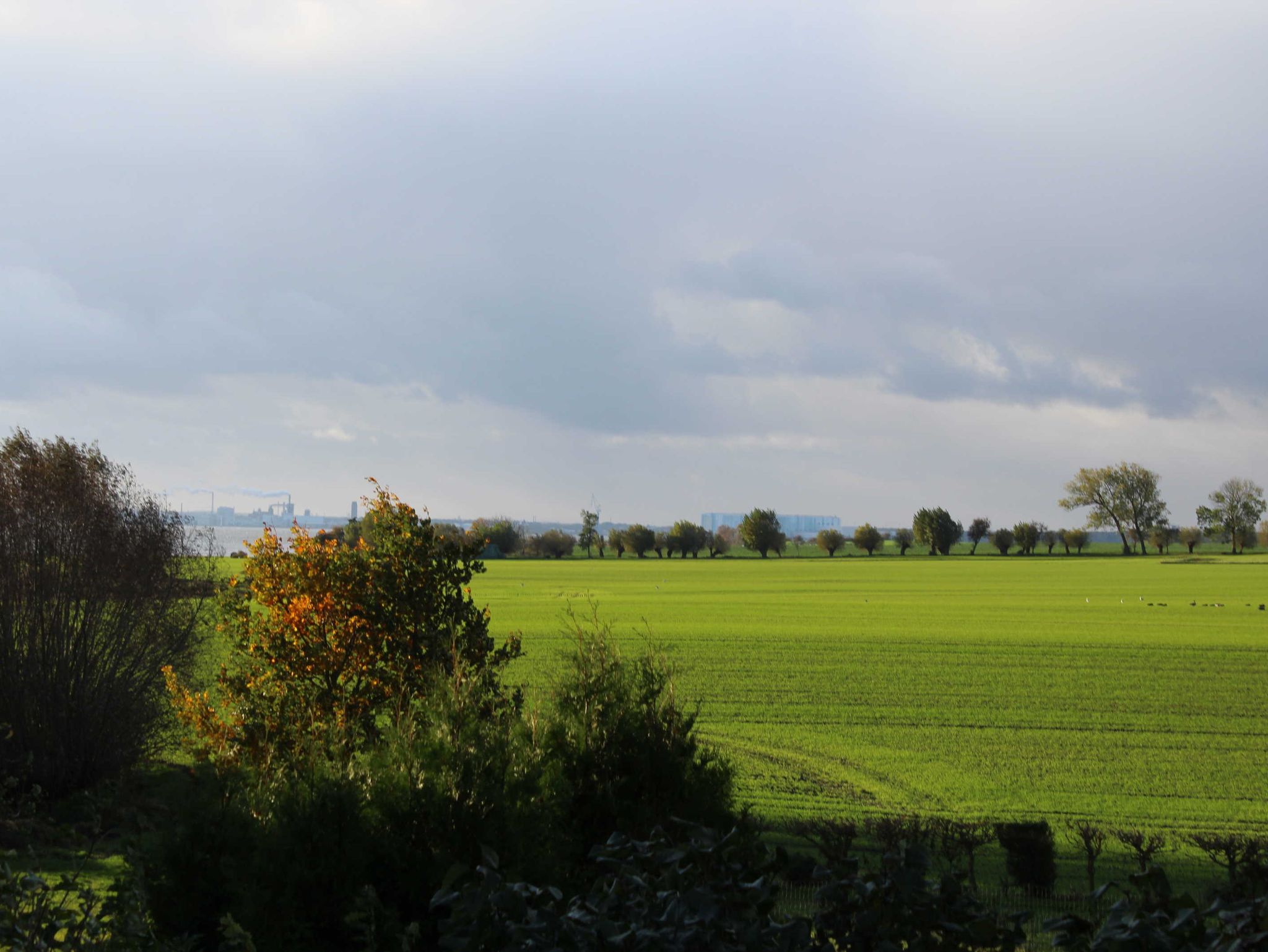 Blick in den Garten