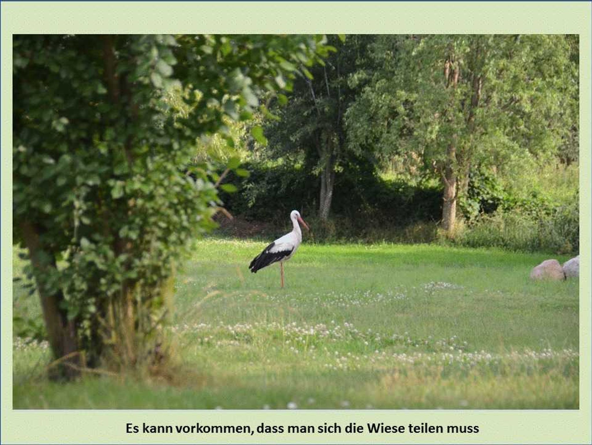 Eingang zur Ferienwohnung