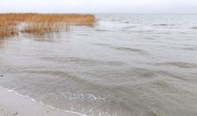 kleiner Badestrand am Bodden