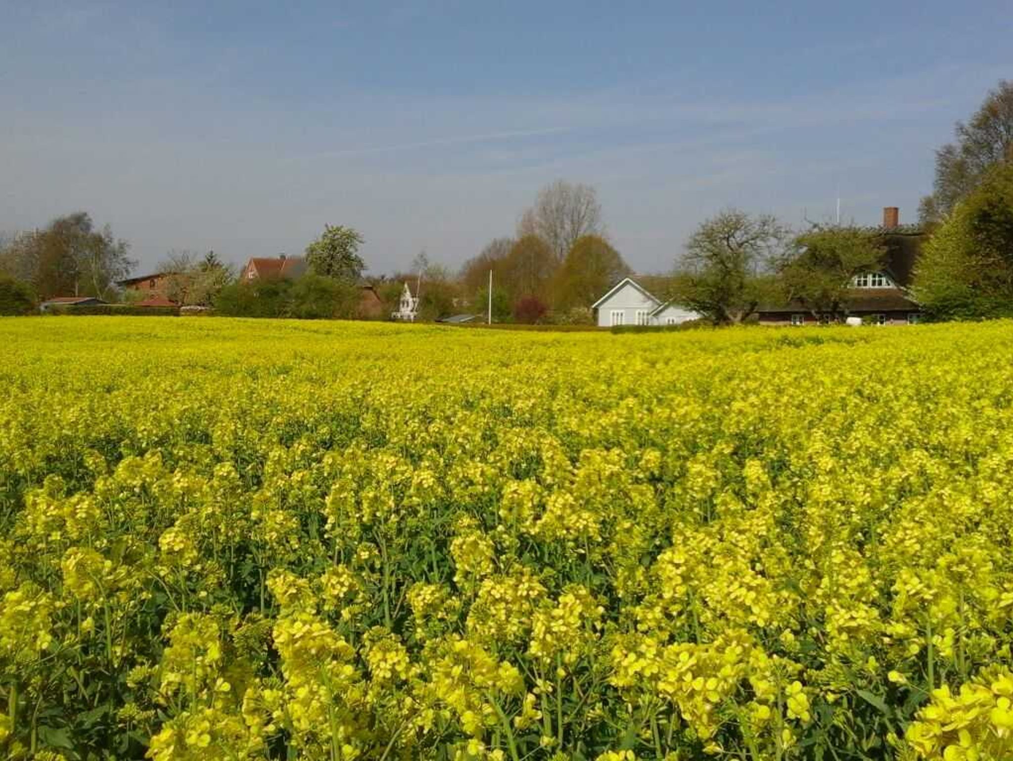 Die mediterrane Wasserlandschaft im Innenhof