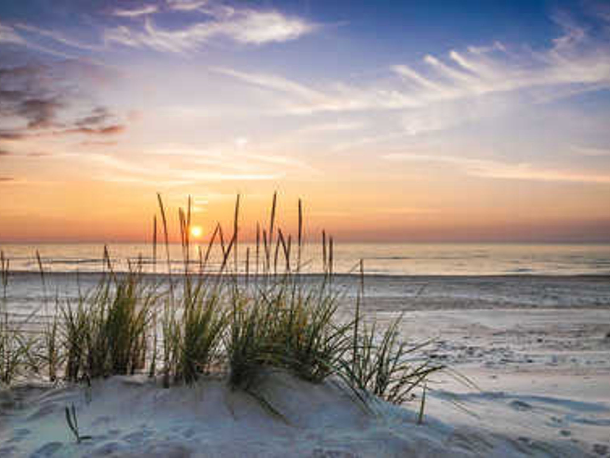 Feinsandiger Strand in Kronsgaard