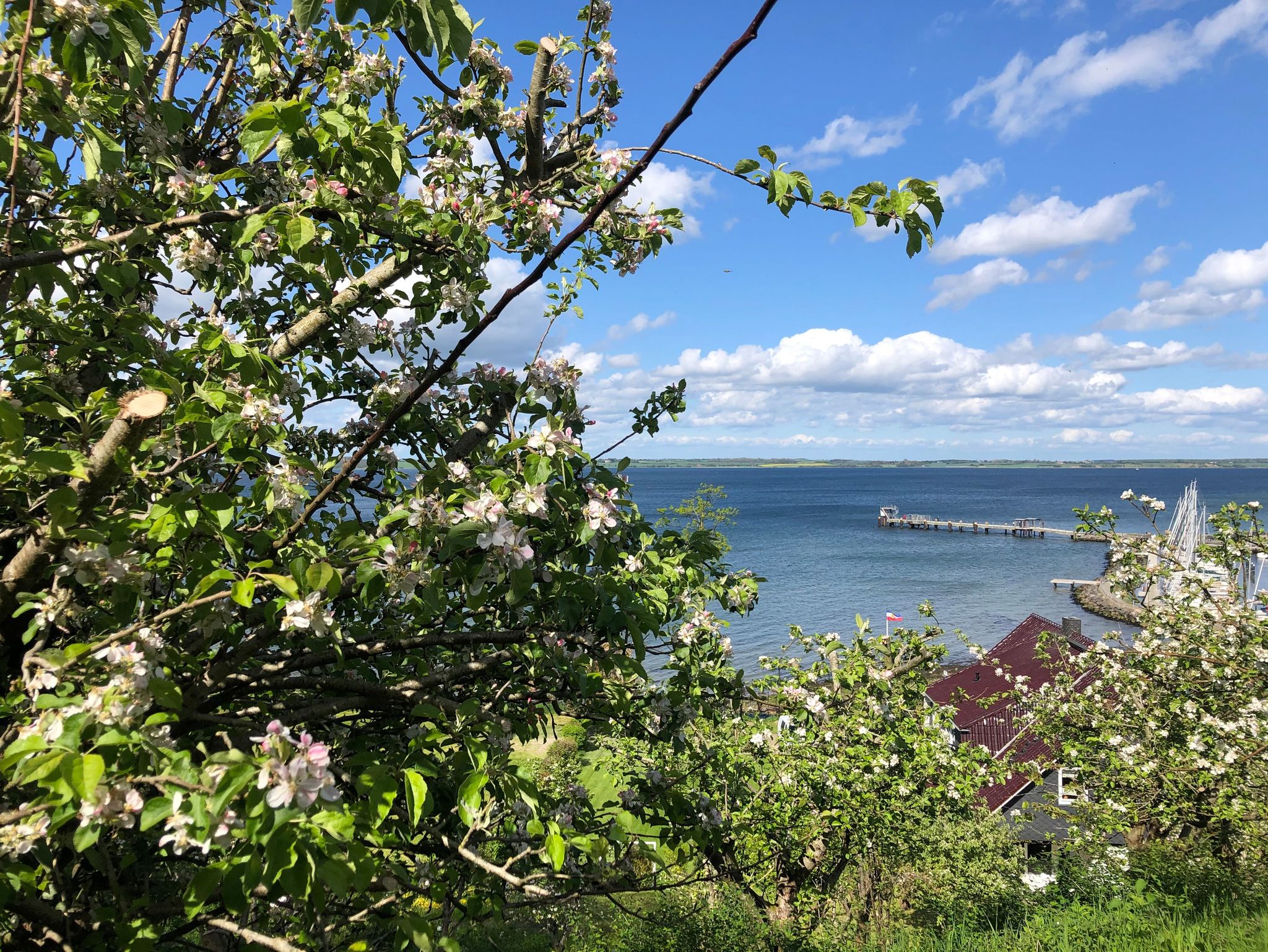 Die Außenansicht des Urlaubsdomizils Am Stadtwald