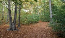 Meeresblick Panorama Sauna Wlan Fitnessraum Dünenresidenz