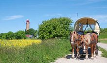 Das Fahrradhaus