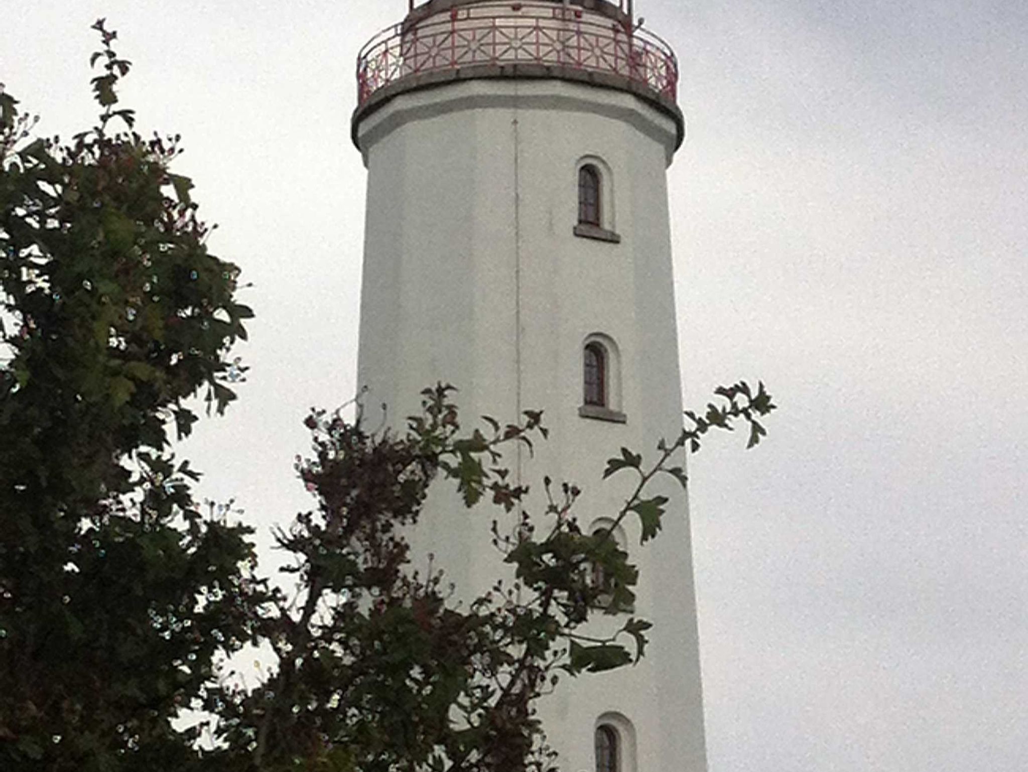 Blick in den Garten