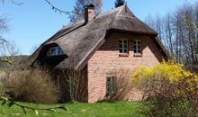 Ferienhaus Insel Rügen Strandhaus Bernstein Sauna Whirlpool