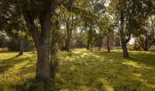 im-jaich Wasserferienwelt Lauterbach