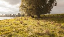 im-jaich Wasserferienwelt Lauterbach