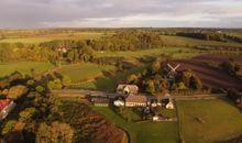 Natur pur im Waldabschnitt