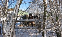 Ferienwohnpark mit Schnee