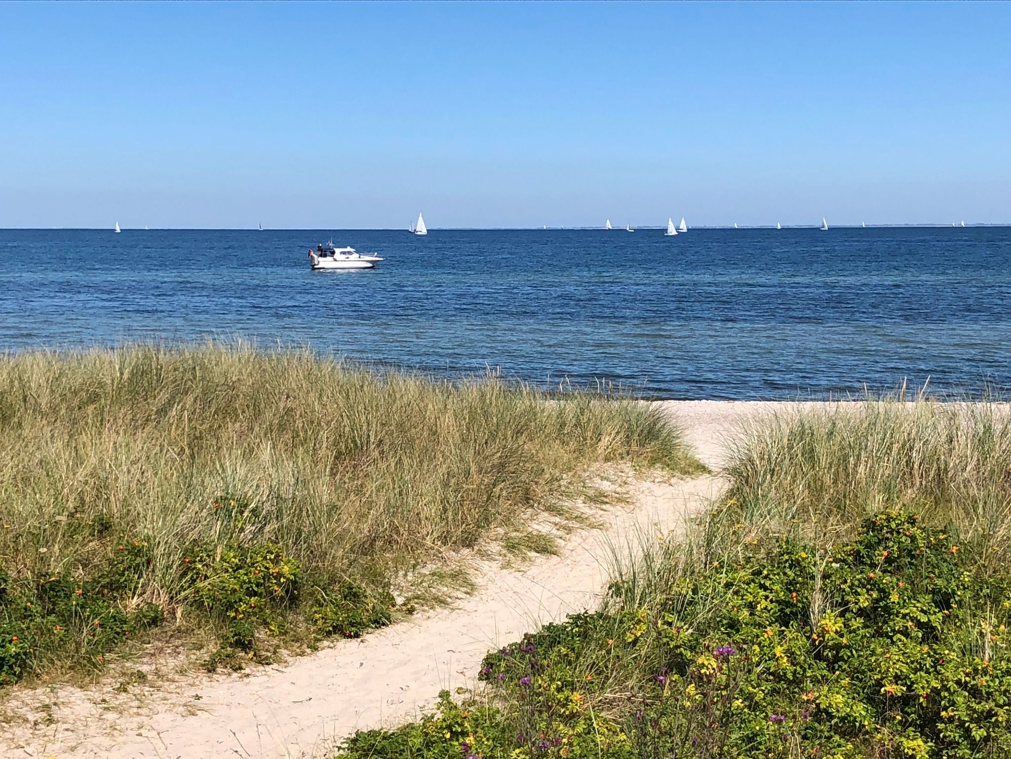 Haus am Meer Ferienhaus Insel Rügen Ostsee Wlan Sauna Waschm