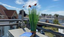 Haus am Meer Ferienhaus Insel Rügen Ostsee Wlan Sauna Waschm