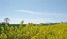 Ausblick vom Balkon