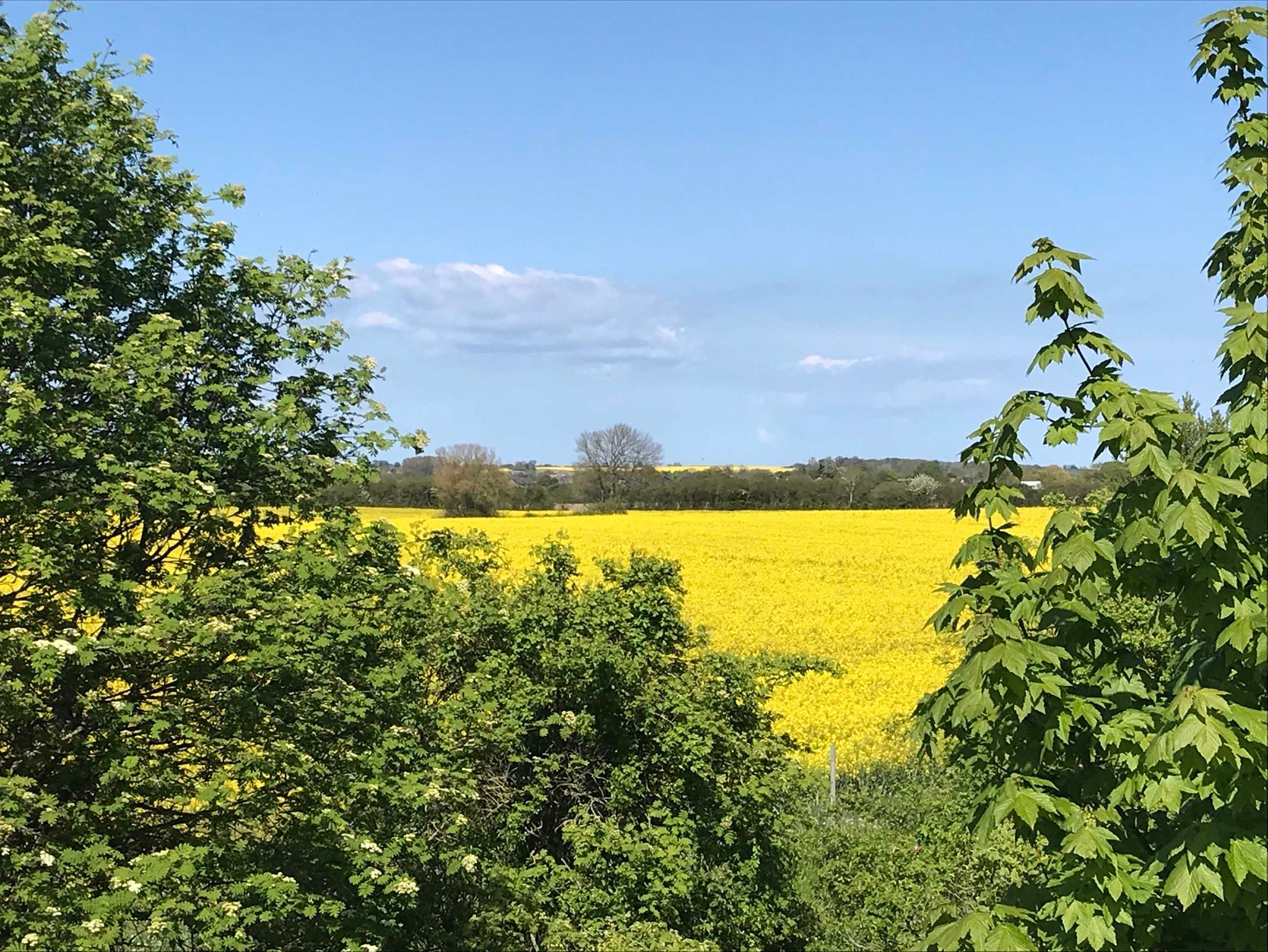 Barnstorf mit seinen alten Bauerngehöften