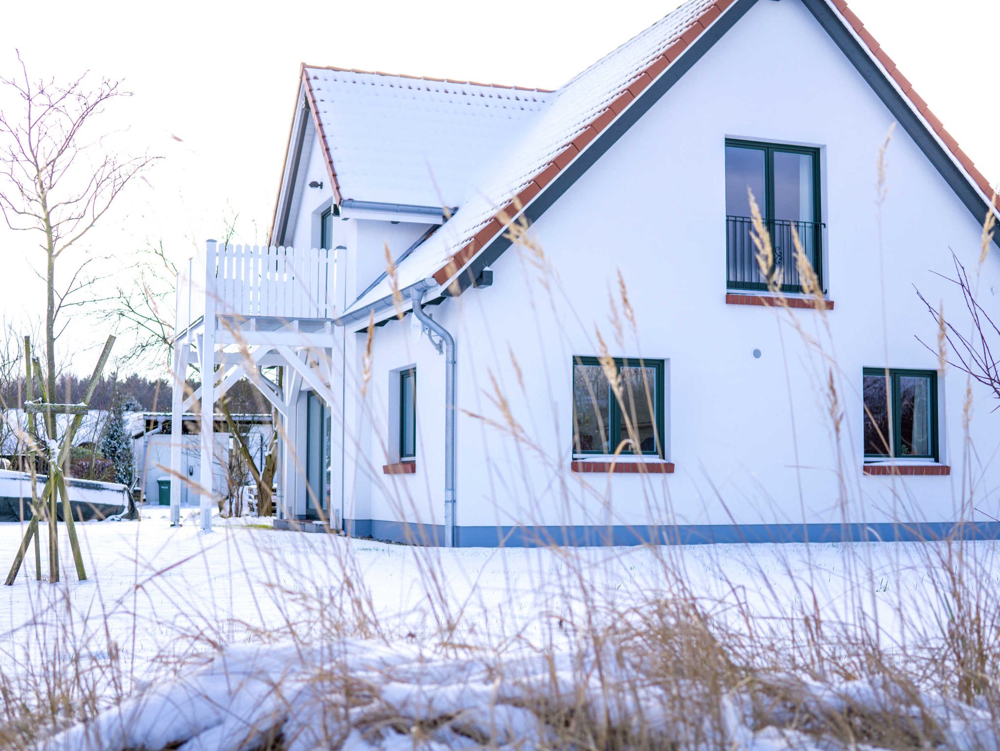 Ferienhaus Insel Rügen Deichhaus No 1 direkt auf dem Deich