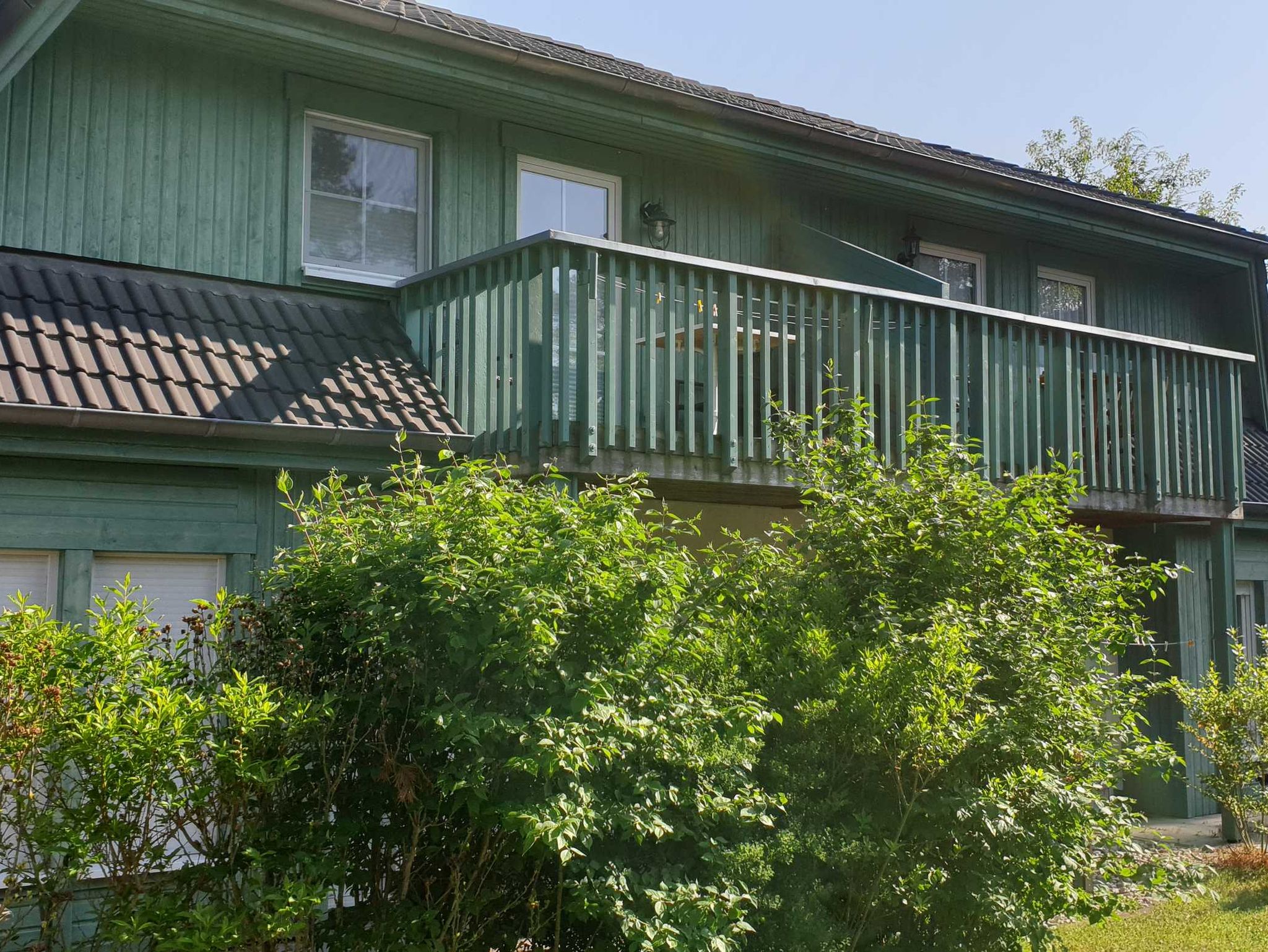 Ferienhaus Insel Rügen Deichhaus No 1 direkt auf dem Deich