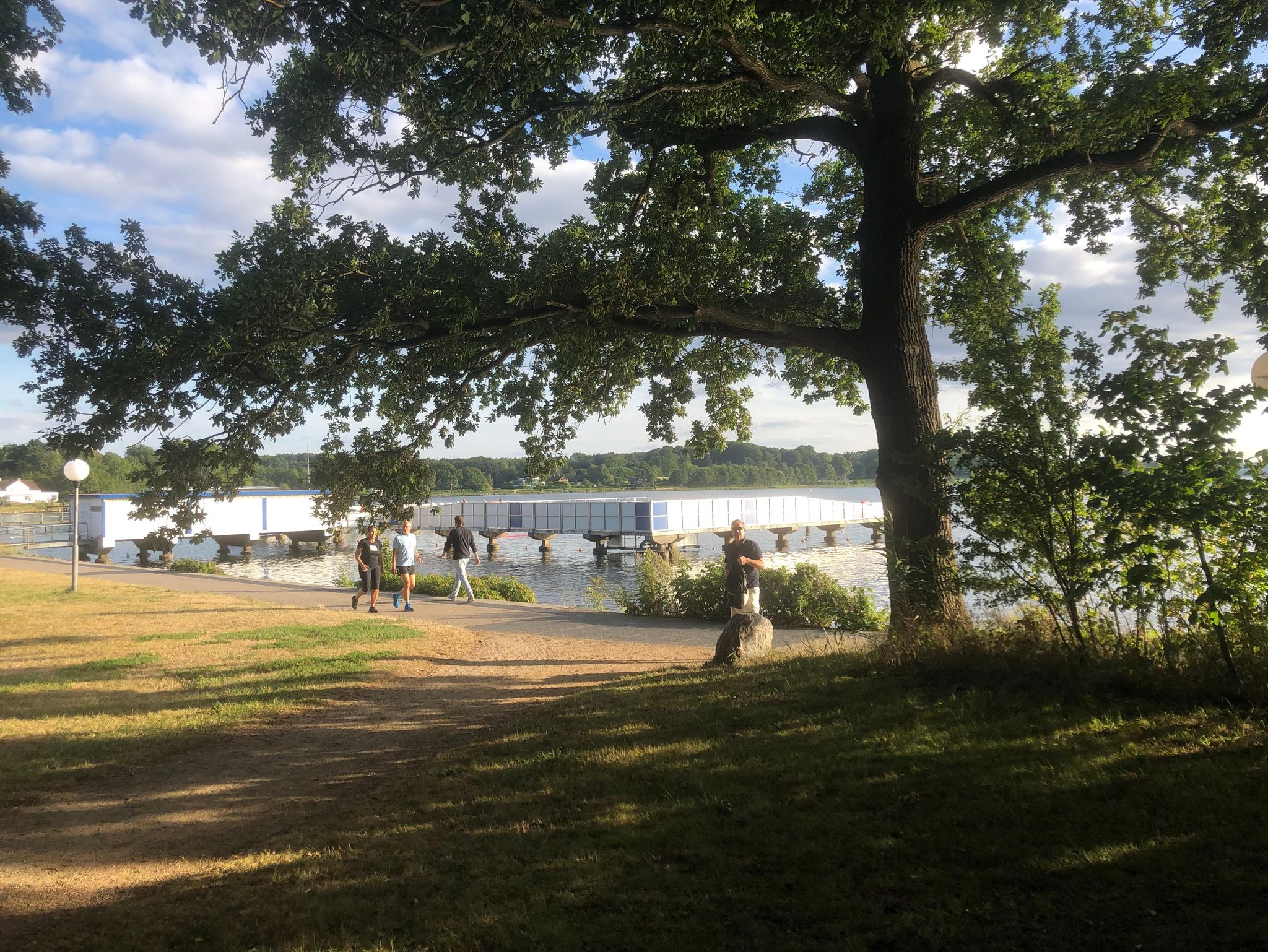 Ferienhaus Insel Rügen Deichhaus No 1 direkt auf dem Deich