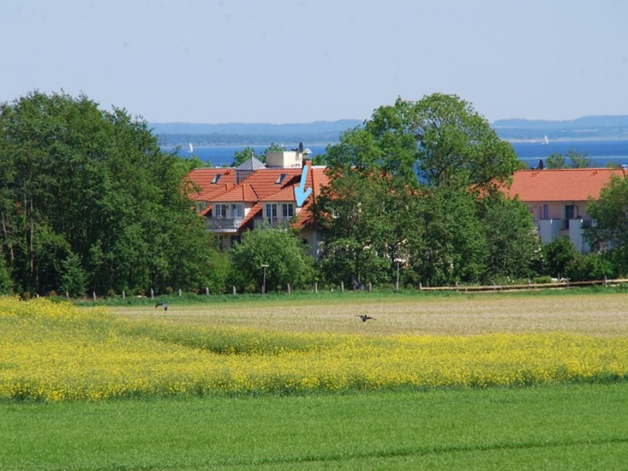 Eingang mit kleinen Garten