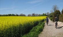 Weinwirtschaft Sellin