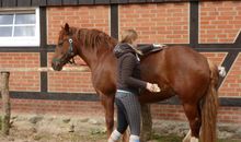 Haus Meeresblick in Baabe