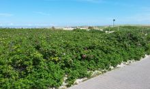 Boddenwohnung - Terrasse direkt mit Blick zum Bodden