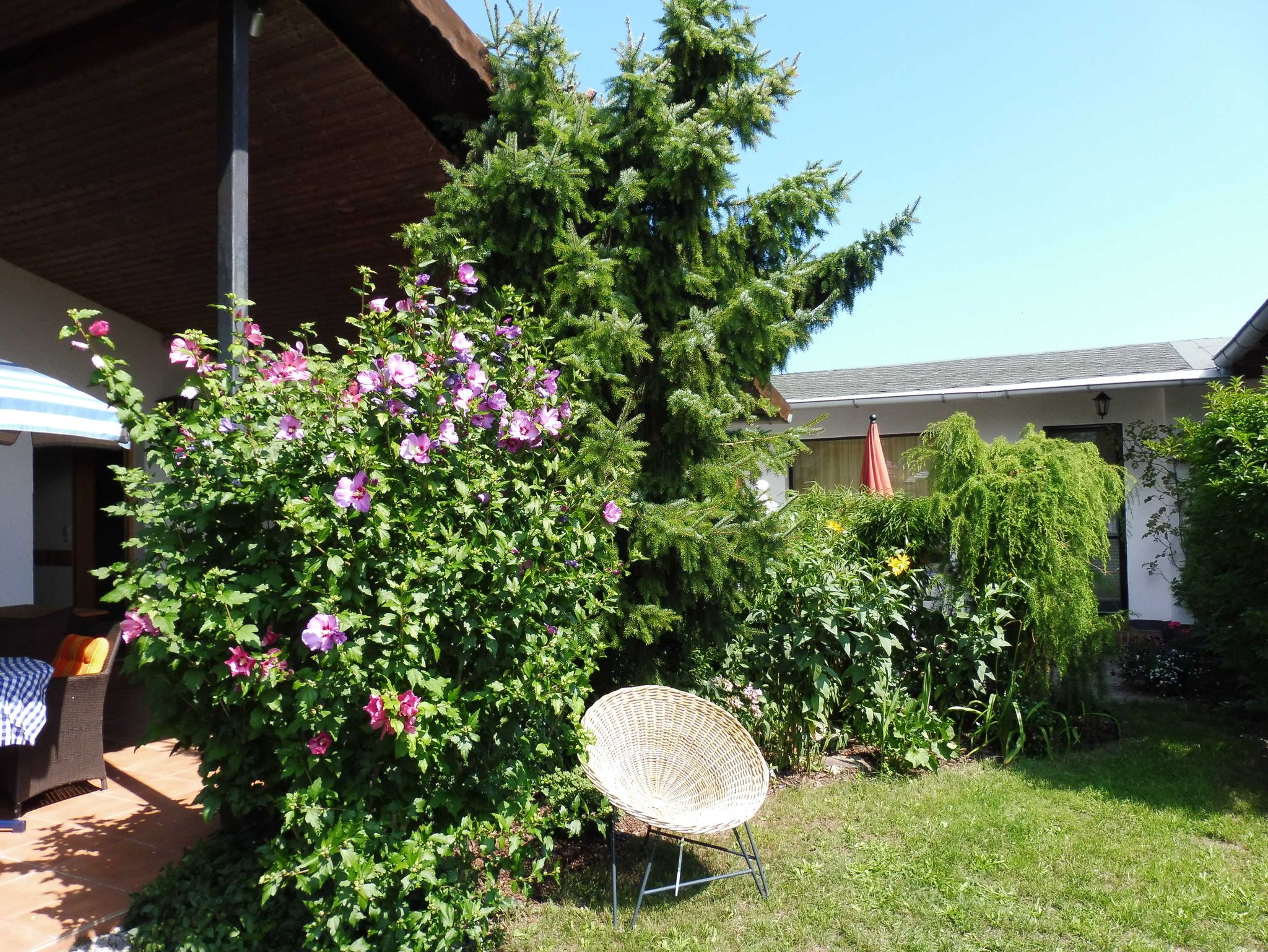 Boddenwohnung: Blick in die Natur, Sitzbänkchen lädt ein