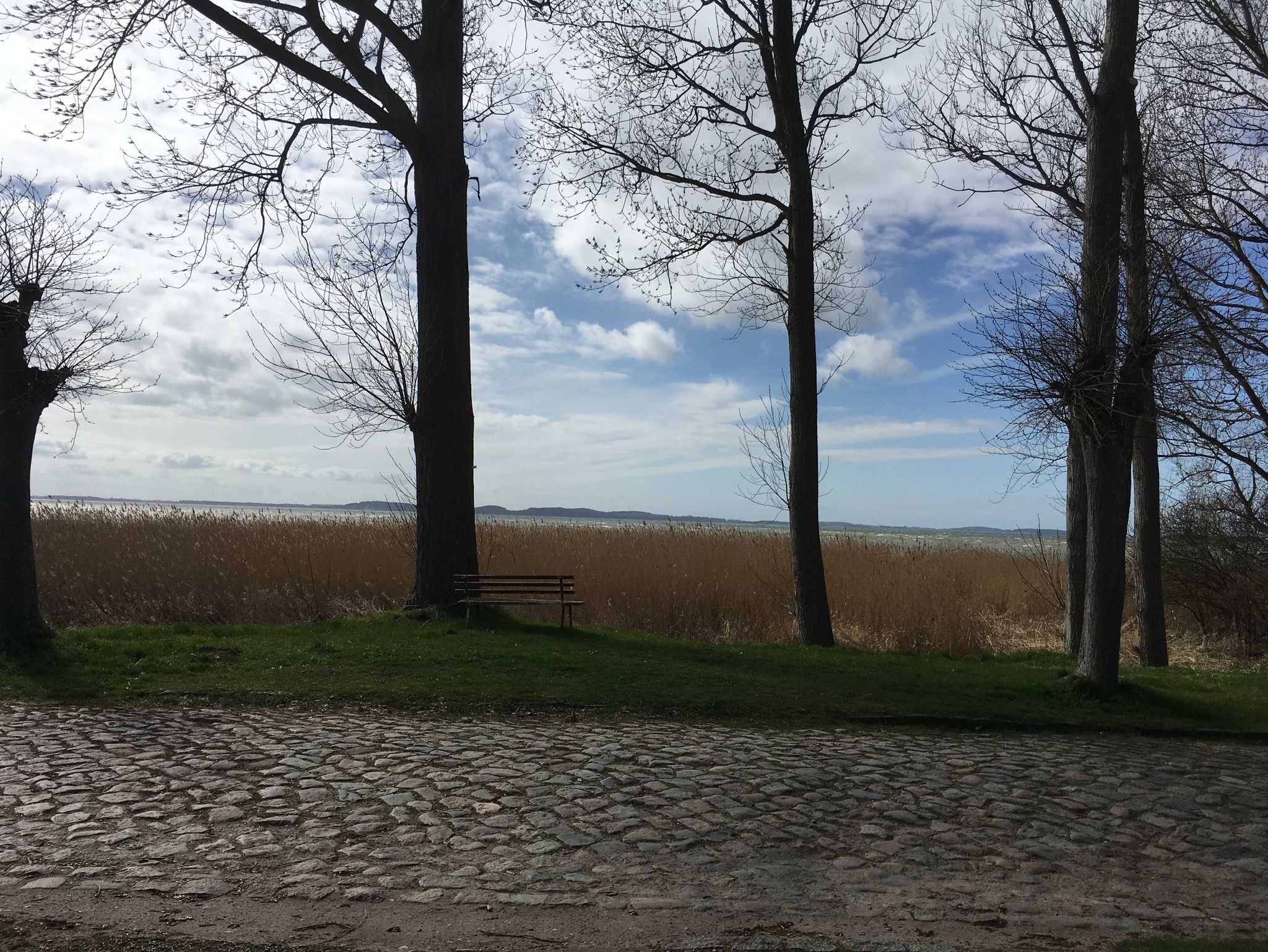 Ostseestrand vor der Ostseeresidenz