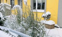 Ihr Feriendomizil in der Strandstraße 31 von hinten