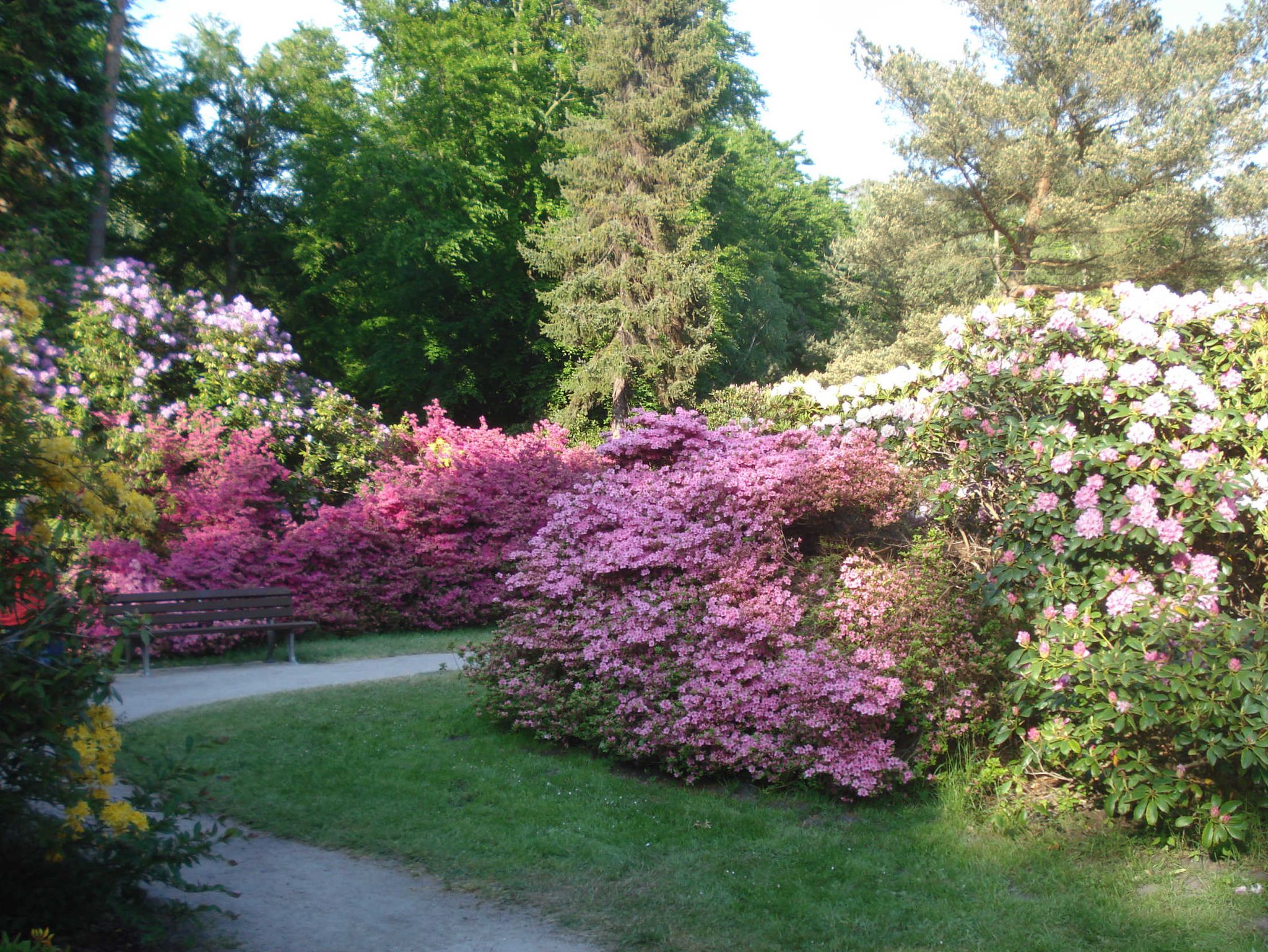 Ostseestrand bei Gut Oehe