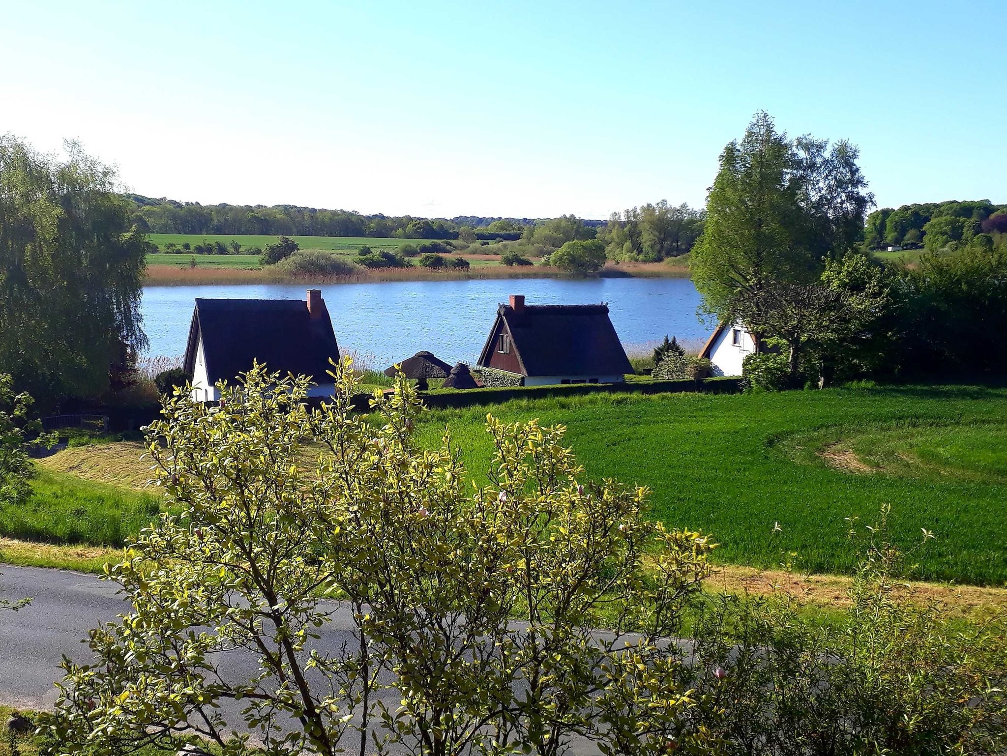 Ausblick vom Balkon