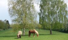 Ferienwohnung Zwischen Seen und Meer