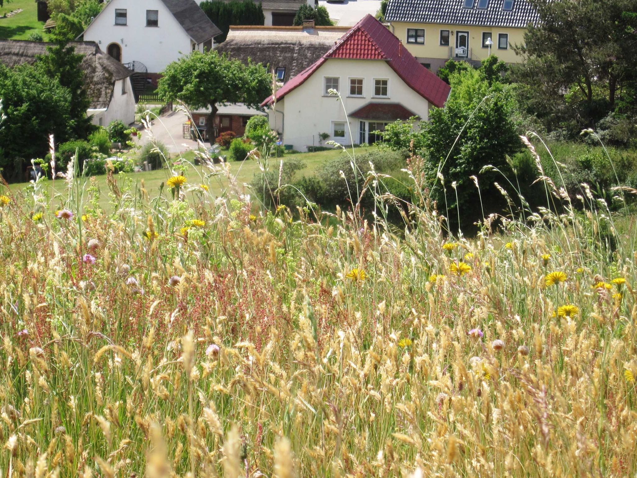 Blick auf die Terrasse