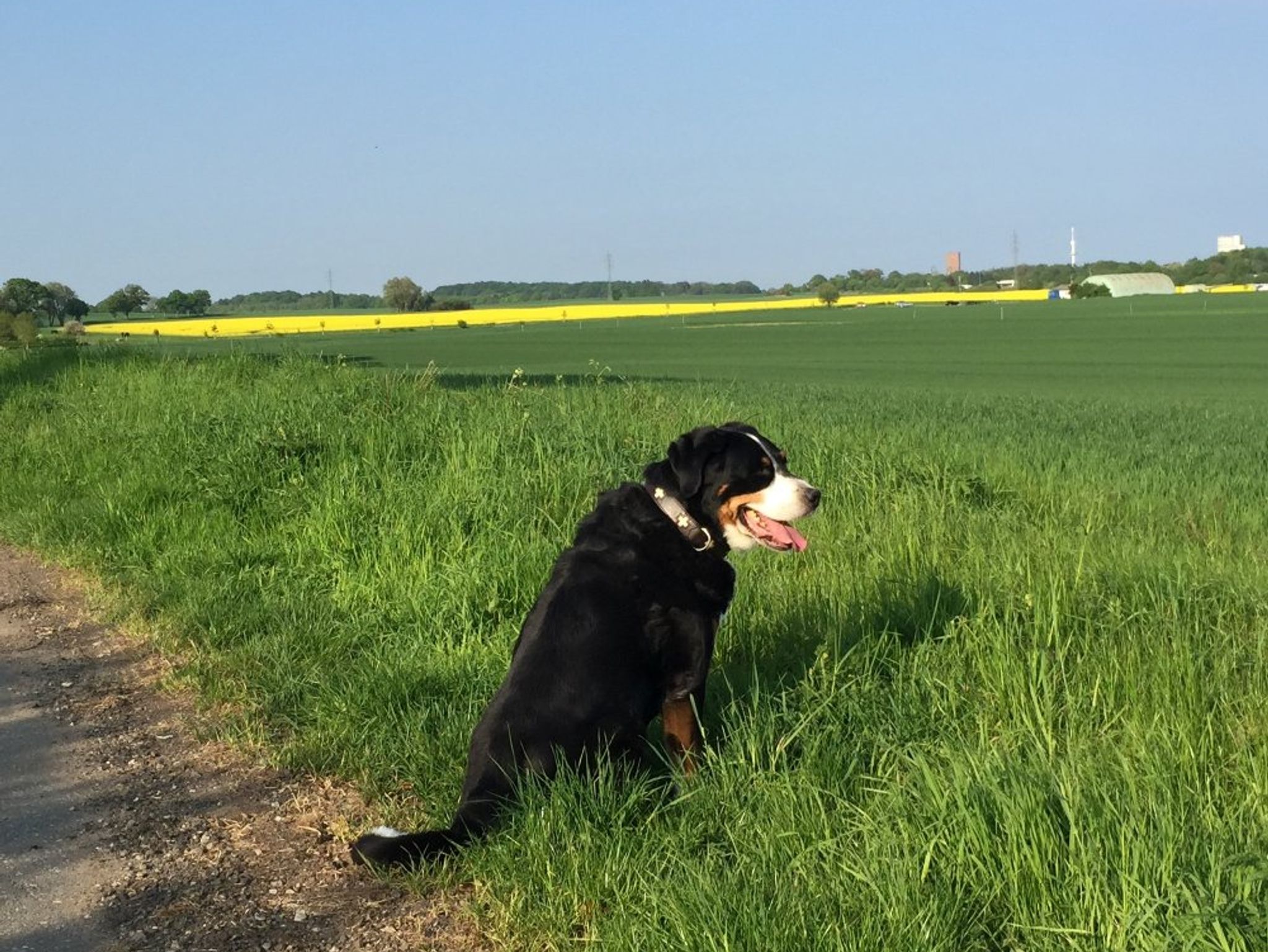 Küchenzeile mit Kochutensilien