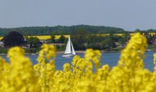 hauseigenes Schwimmbad mit Saunabereich