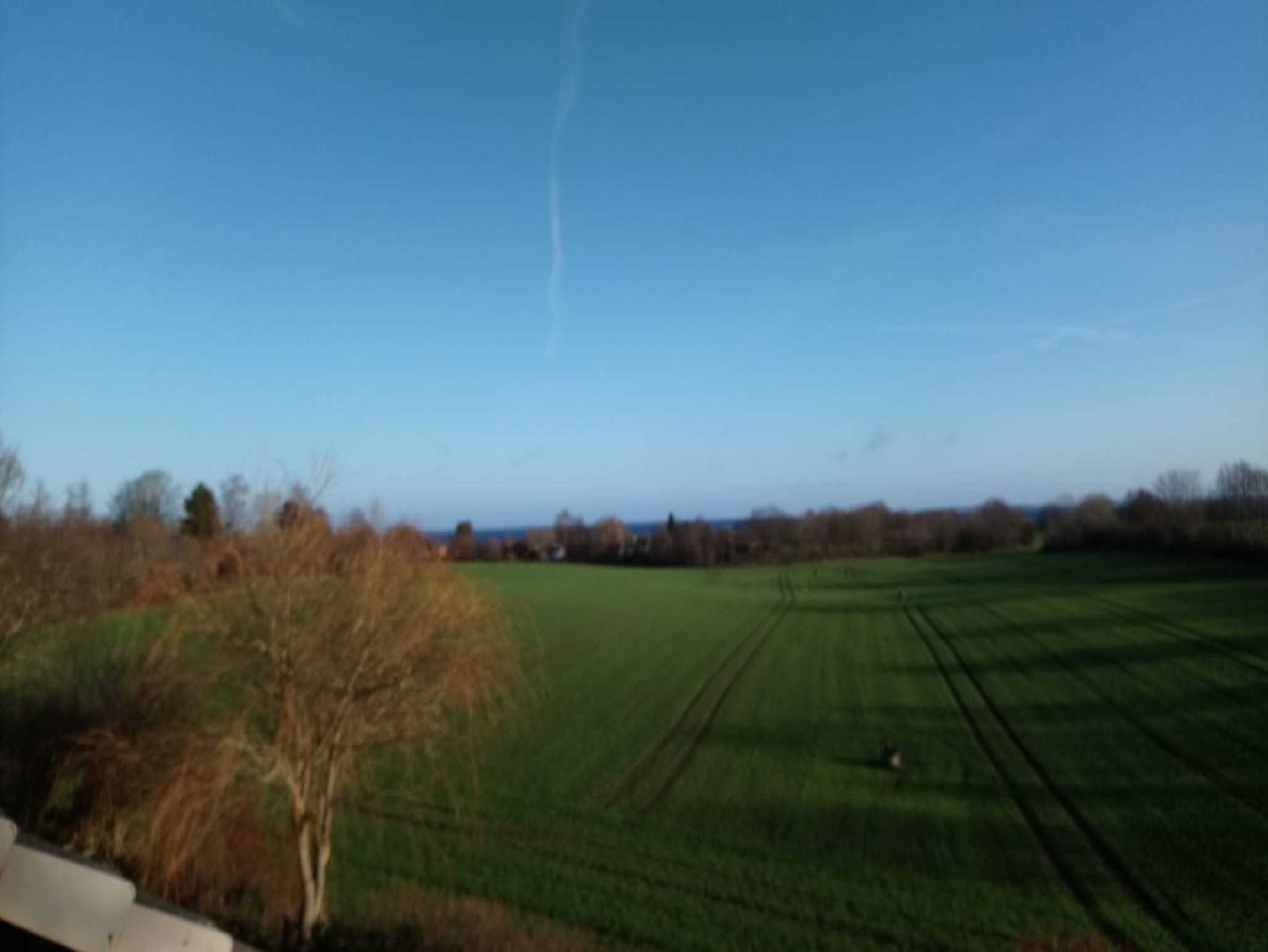 Blick auf die Terrasse