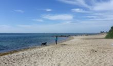 FEWO bis 2 Pers. inmitten den Yachthafens Ueckermünde, Stettiner Haff, Ostsee