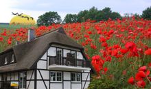 Romantik Hotel Kieler Kaufmann