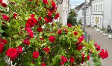 Strandhotel Zingst